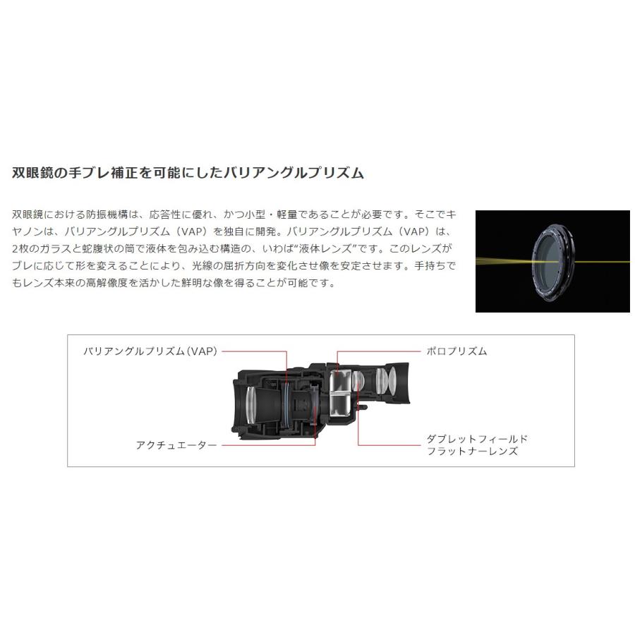 キヤノン 在庫有り【送料無料】Canon 双眼鏡 BINOCULARS 10×30 キヤノン 在庫有り【送料無料】Canon 双眼鏡 BINOCULARS 10×30