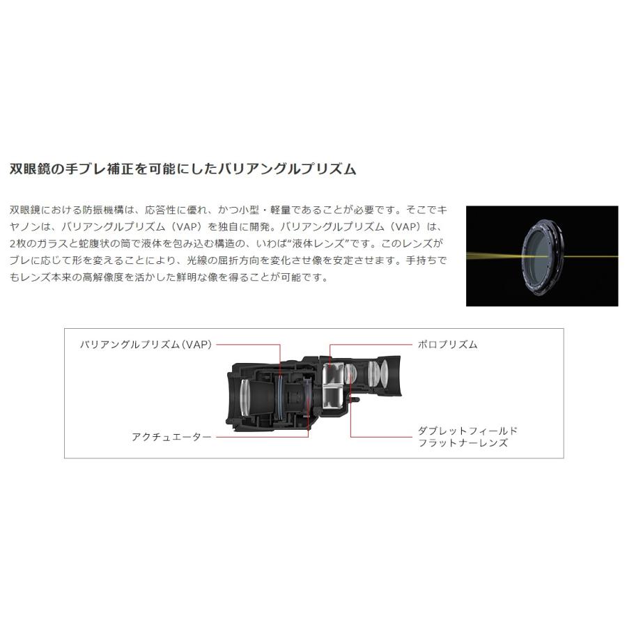 【送料無料】Canon キヤノン 双眼鏡 BINOCULARS 12x36 IS III｜hit-market｜08