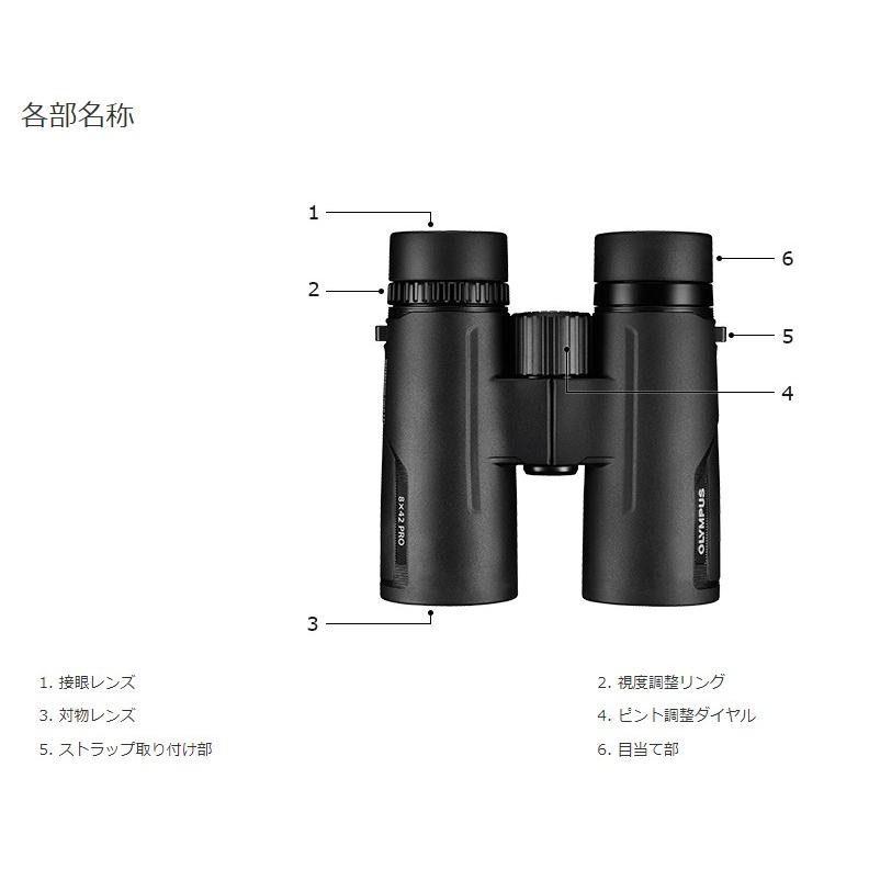 オリンパス（OLYMPUS） 【送料無料】オリンパス ダハプリズム式双眼鏡
