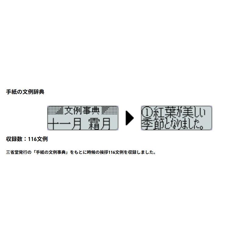 CASIO（カシオ） 【ゆうパケットプラスで送料無料】カシオ電子辞書