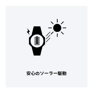 【ゆうパケットプラスで送料無料】CASIO・カシオ wave ceptor 電波ソーラー時計 女性用 LWQ-10LJ-4A2JFの画像