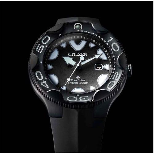 CITIZEN（シチズン） 【送料無料】CITIZEN PROMASTER エコドライブ 