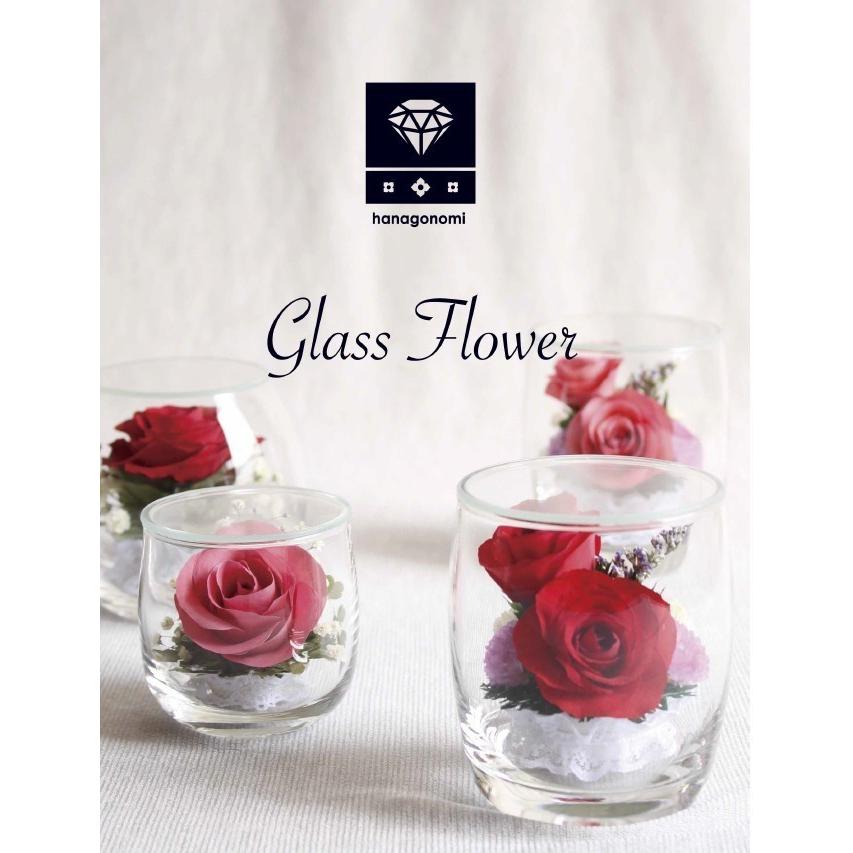 送料無料 枯れない花 ボトルフラワー グラスフラワー Hanagonomi 自然の花を丁寧に加工しています D 0016 D 0016 Hit Market 通販 Yahoo ショッピング