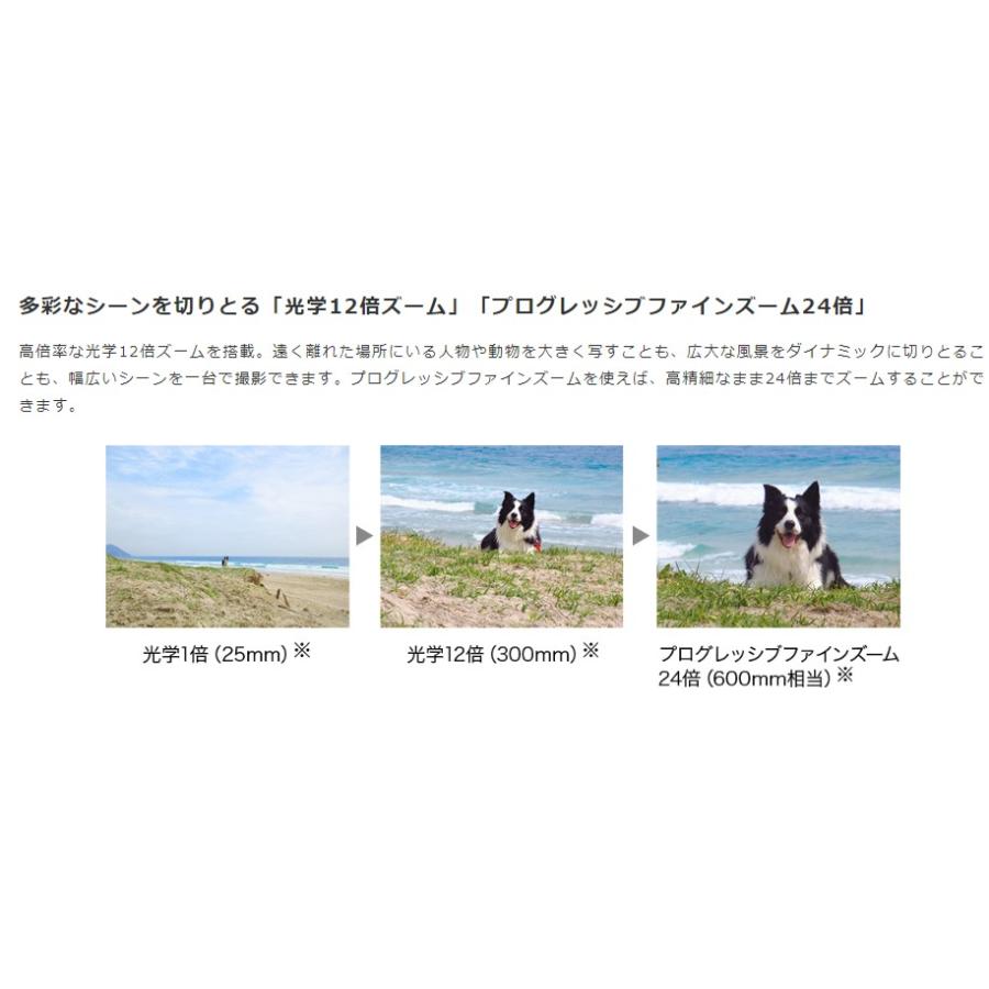IXY DIGITAL 今ならSDカード16GB差し上げます【送料無料】CANON IXY DIGITAL 今ならSDカード16GB差し上げます【送料無料】CANON