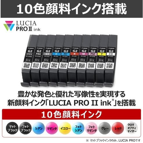 キヤノン（Canon） 【送料無料】キヤノン 10色顔料インク