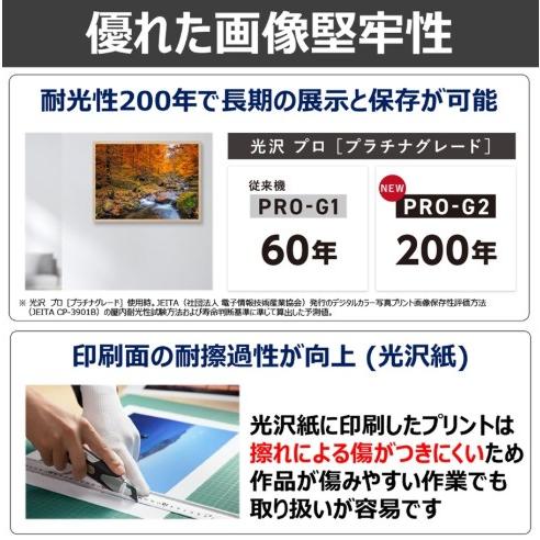 キヤノン（Canon） 【送料無料】キヤノン 10色顔料インク
