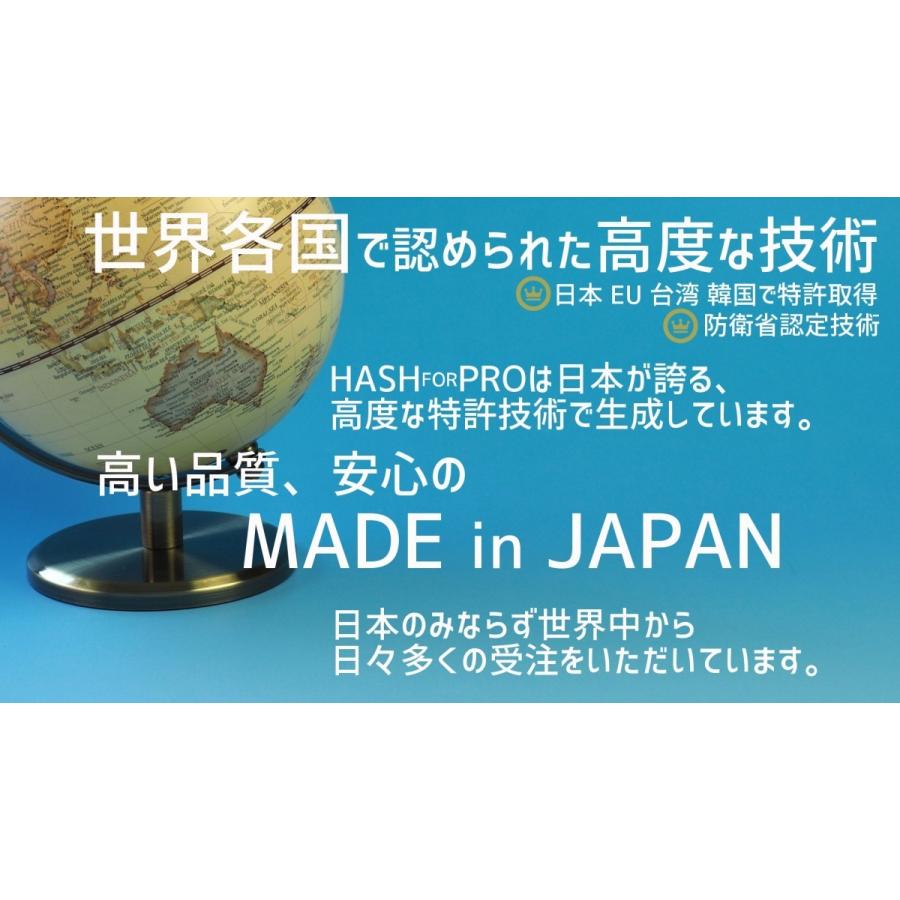 次亜塩素酸水 HASHforPRO専用噴霧器 JF-5Aの画像