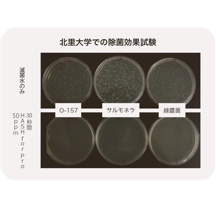 次亜塩素酸水 HASHforPRO専用噴霧器 JF-5Aの画像