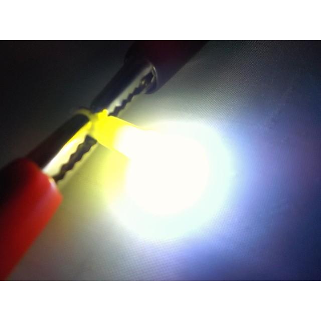 T5LEDウェッジ球（メーター球）ホワイト12Ｖ（ムラの少ない発光） |  | 01