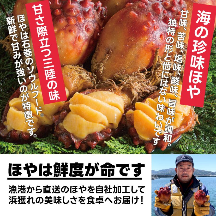 宮城県 石巻産 ほや 300g(100g×3個セット) 冷凍 お刺身 むき身 新鮮 海 