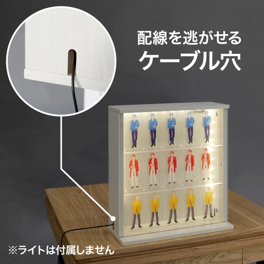 ビビラボ（BIBILAB） 壁掛け コレクションケース アクスタマンション 3