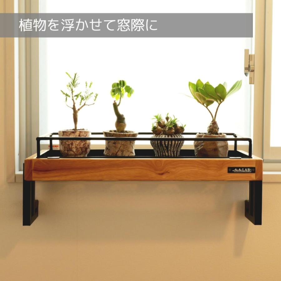 ビビラボ（BIBILAB） 窓ぎわプランタースタンド LPA-600-BK LPA-600-BK