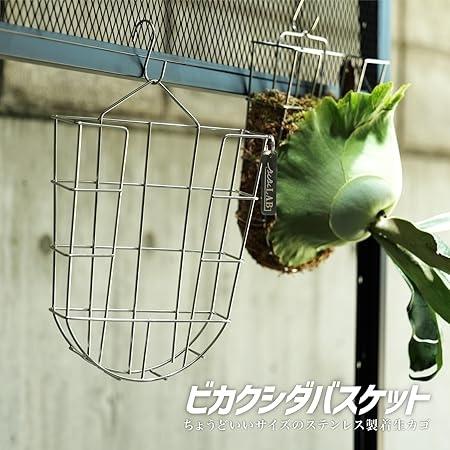 ビビラボ（BIBILAB） ビカクシダバスケット 3個セット LPG-B230-3-SL