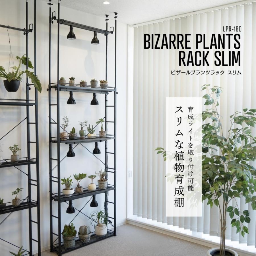 ビビラボ（BIBILAB） ビザールプランツラック スリム 植物 棚 観葉植物