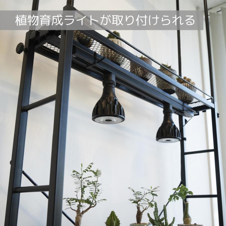 ビビラボ（BIBILAB） ビザールプランツラック スリム 植物 棚 観葉植物