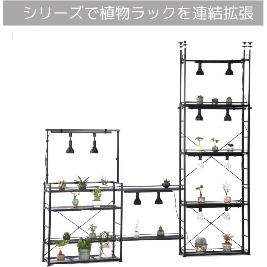 ビビラボ（BIBILAB） ビザールプランツラック スリム 植物 棚 観葉植物