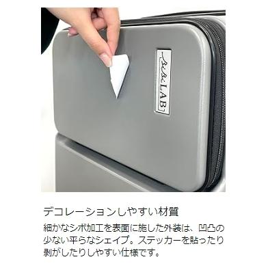 ビビラボ（BIBILAB） スリムスーツケース LBB-800-GY 約61L ミニ
