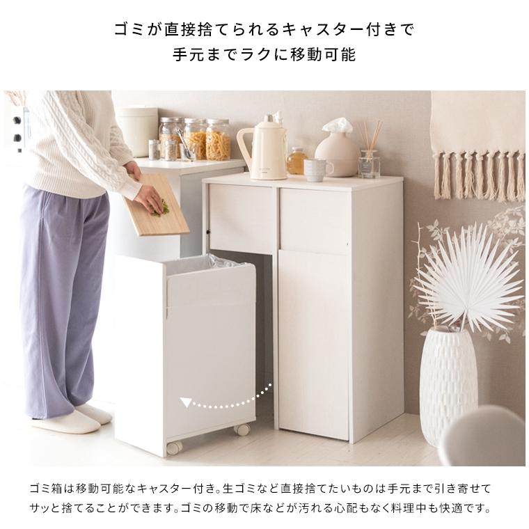 キャスターボックス 2分別 幅60 高さ90 DB-F2100 ナチュラル 宮武