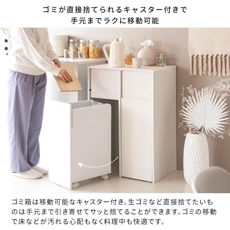 キャスターボックス 2分別 幅60 高さ90 DB-F2100 ナチュラル 宮武