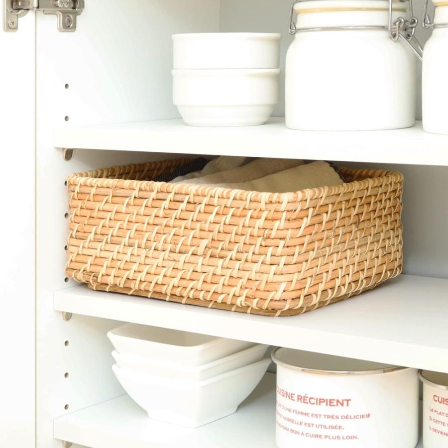 白井産業 カウンター下収納 ラック 扉タイプ キャビネット 木製