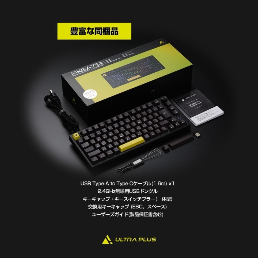 PRINCETON（プリンストン） ガスケットマウント搭載 ゲーミング
