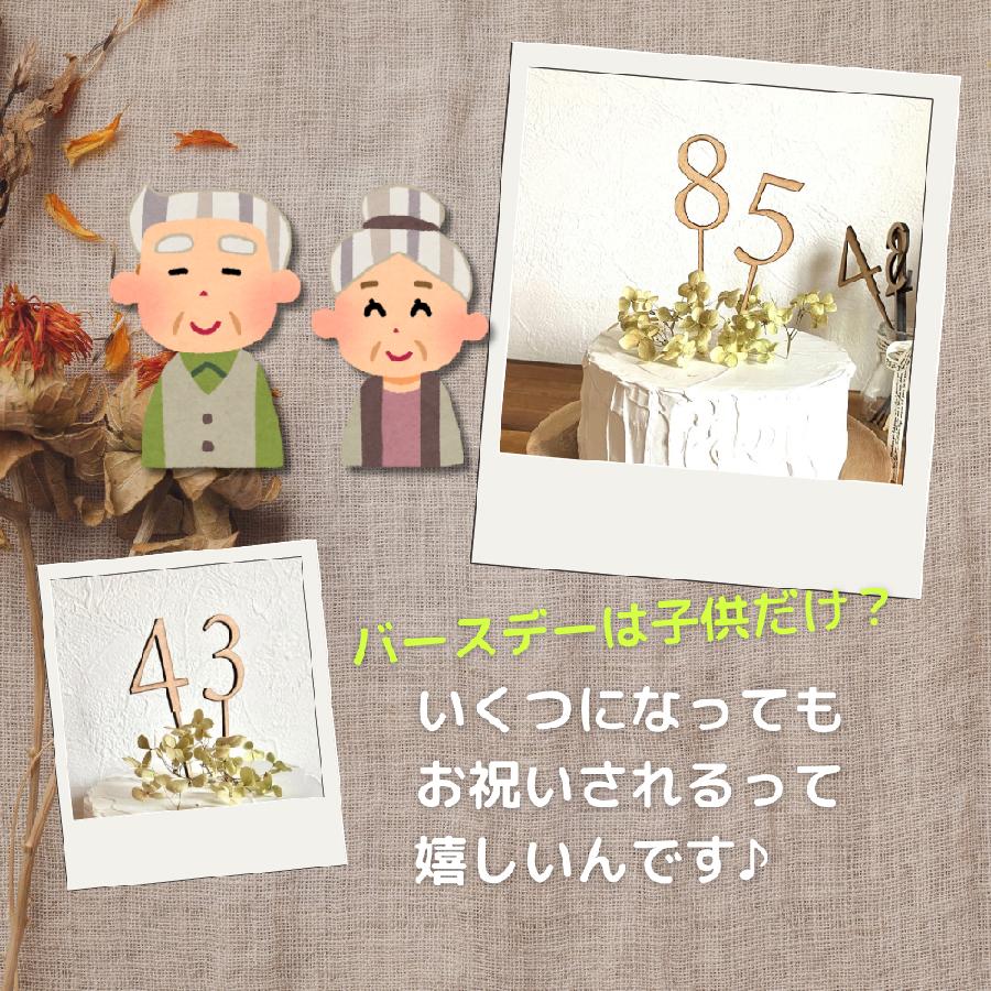 ケーキトッパー 数字 ナンバー 10本セット ナンバーピック バースデー