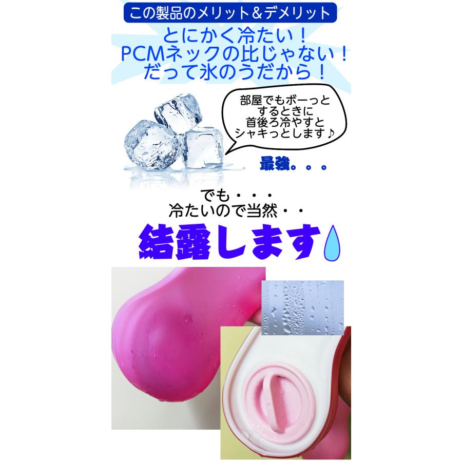 かち割り氷ぶっこんで首を冷やす！ かちわり Icy Neck ネッククーラー