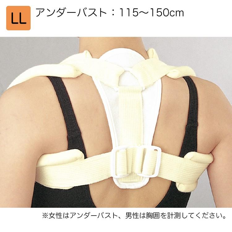 日本シグマックス 鎖骨固定帯 クラビクルブレース 規格：LL 品番