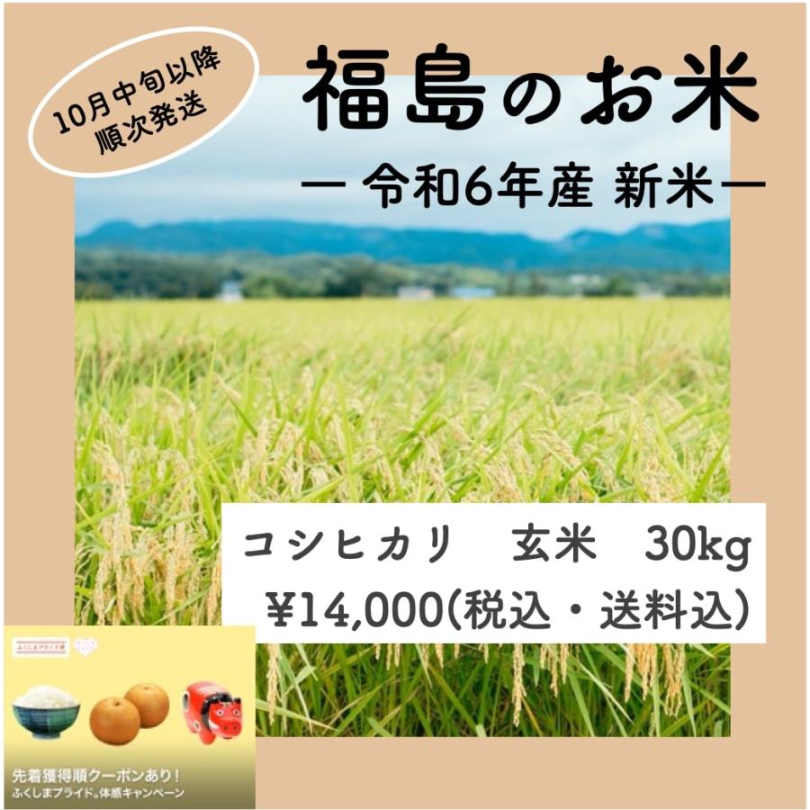 コシヒカリ】 令和6年産 / 福島県国見町産 30kg 玄米での発送 コシヒカリ】 令和6年産 / 福島県国見町産 30kg 玄米での発送