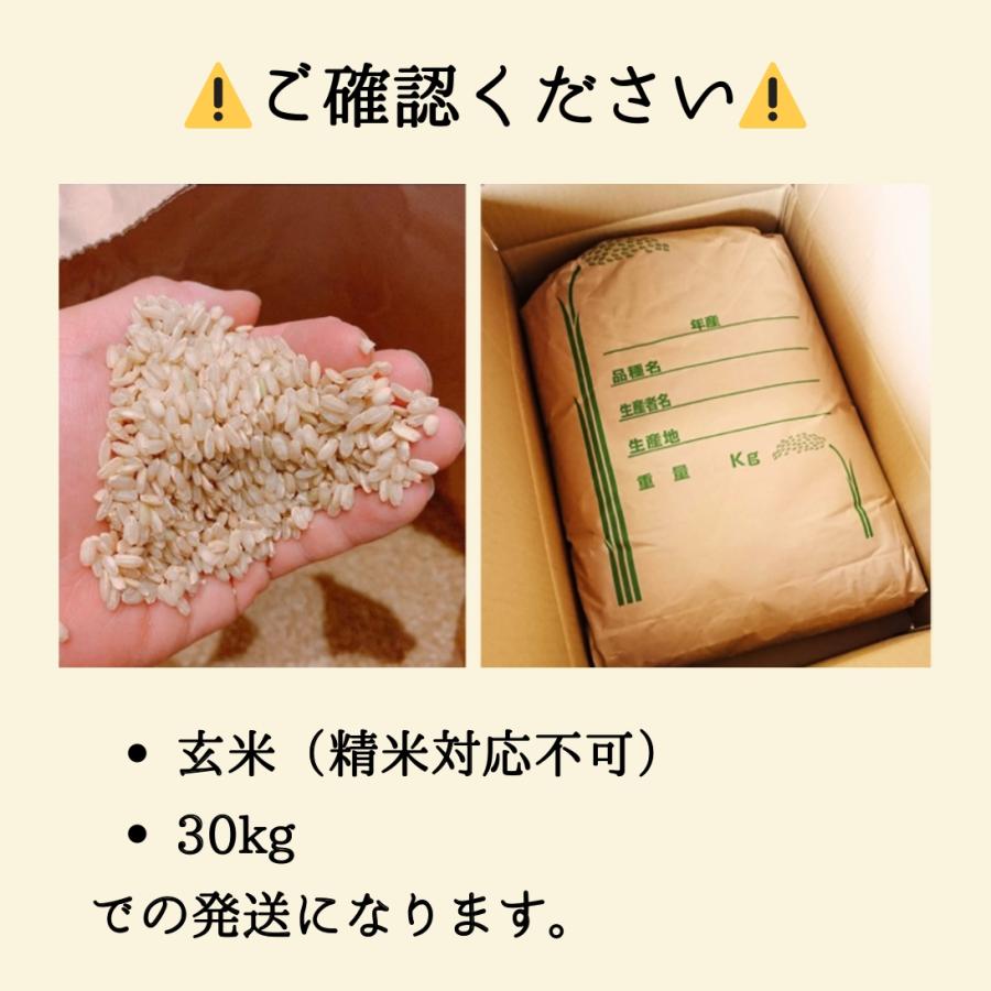 福島県産米 30kgすぐ送れます！ コシヒカリ 新米 30kg 玄米 お米 7年産 福島県産 送料無料 『令