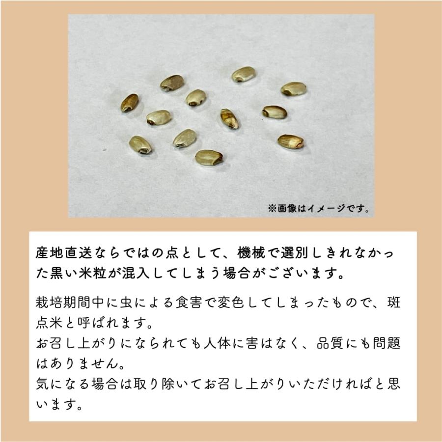 コシヒカリ】 令和6年産 / 福島県国見町産 30kg 玄米での発送 コシヒカリ】 令和6年産 / 福島県国見町産 30kg 玄米での発送