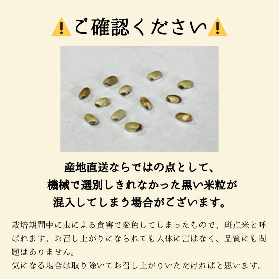 コシヒカリ】 ※年末年始キャンペーン中※ 令和7年産 / 福島県国見町産