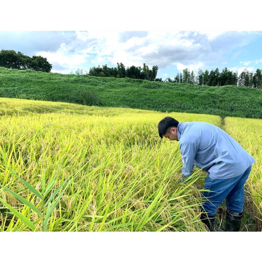 コシヒカリ】 令和6年産 / 福島県国見町産 30kg 玄米での発送 コシヒカリ】 令和6年産 / 福島県国見町産 30kg 玄米での発送