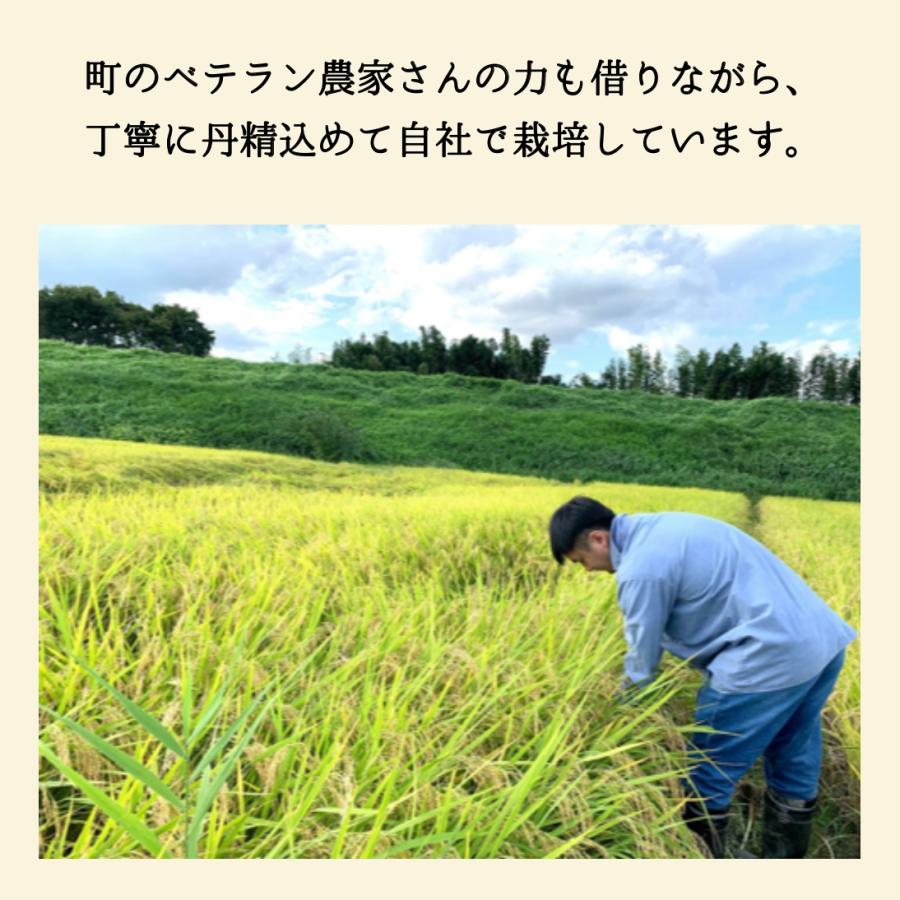 コシヒカリ】 ※年末年始キャンペーン中※ 令和7年産 / 福島県国見町産