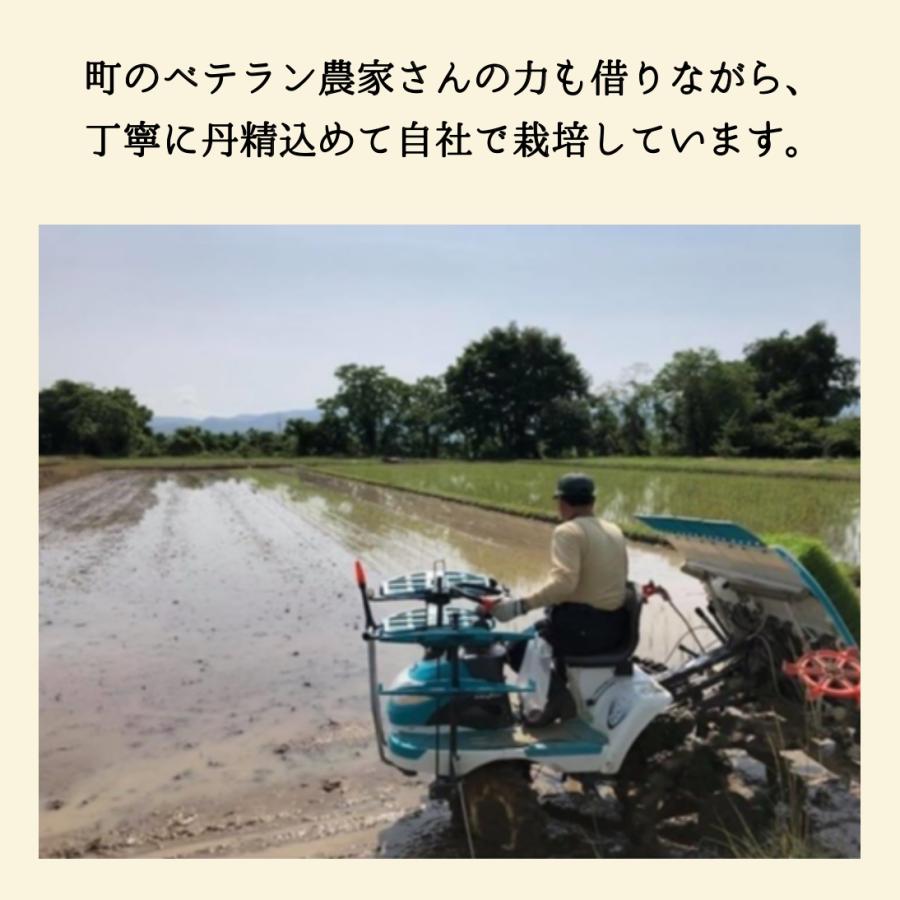 コシヒカリ】 ※年末年始キャンペーン中※ 令和7年産 / 福島県国見町産