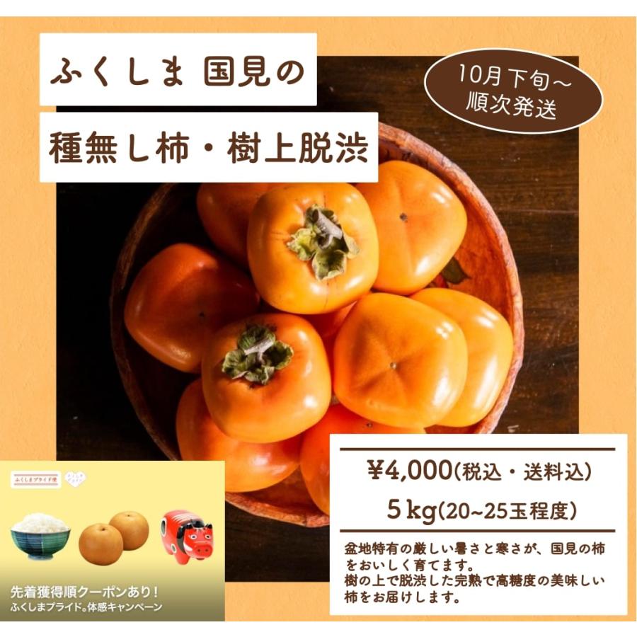 樹上脱渋柿　贈答用 木村農園の樹上脱渋柿 約2kg（8～11玉）: めっけもん広場|【JA