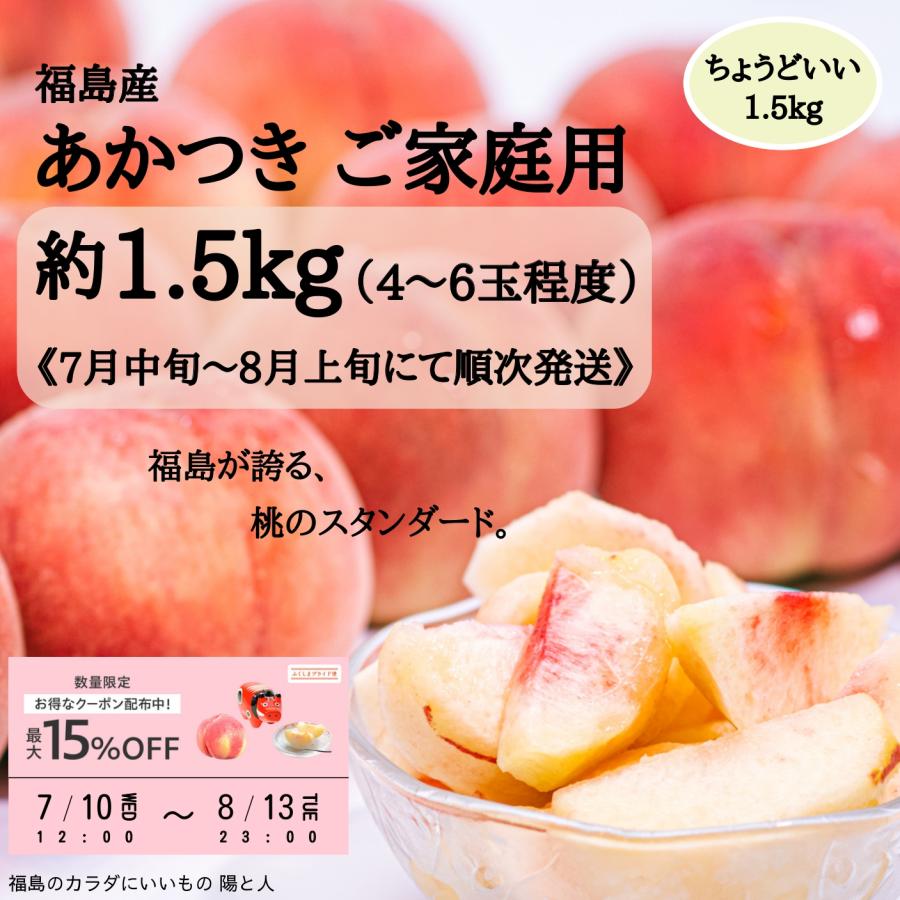 SALE／95%OFF】 福島県産 もも あかつき クール便送料込み