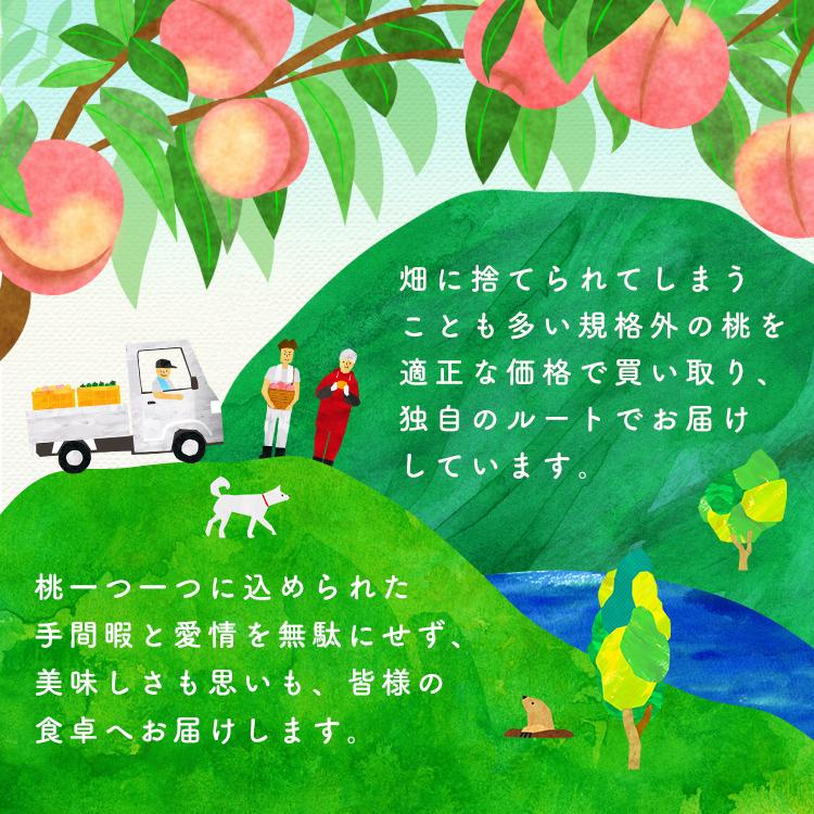 daimakix yさん専用　桃　特大　あかつき　わけあり　10kg 楽天市場】福島 桃 あかつき 訳ありの通販