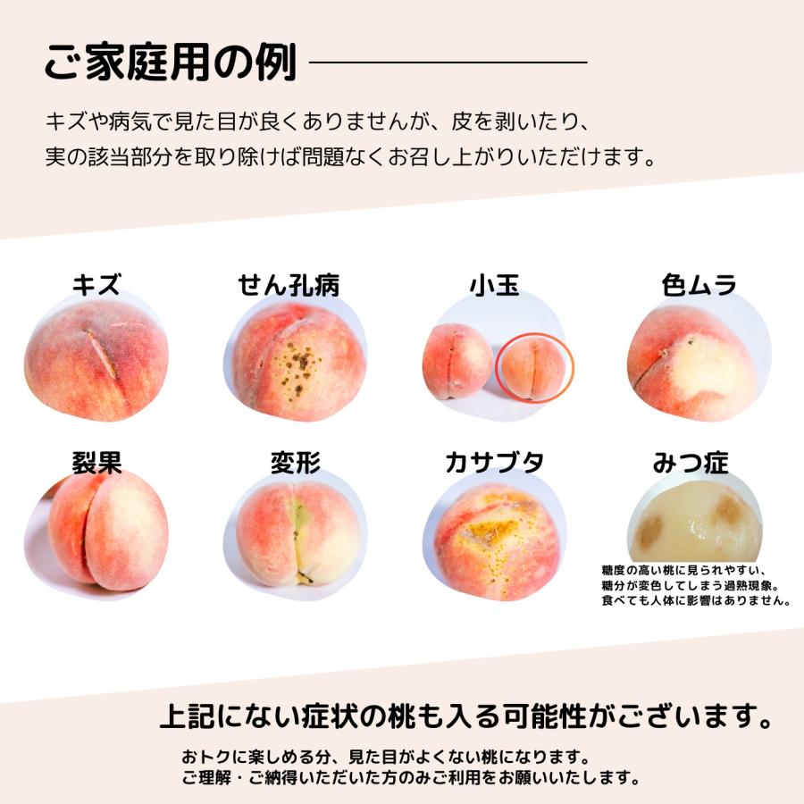 桃・晩生品種おまかせ・家庭用・1.5kg・8月上旬〜9月上旬頃発送ー桃 