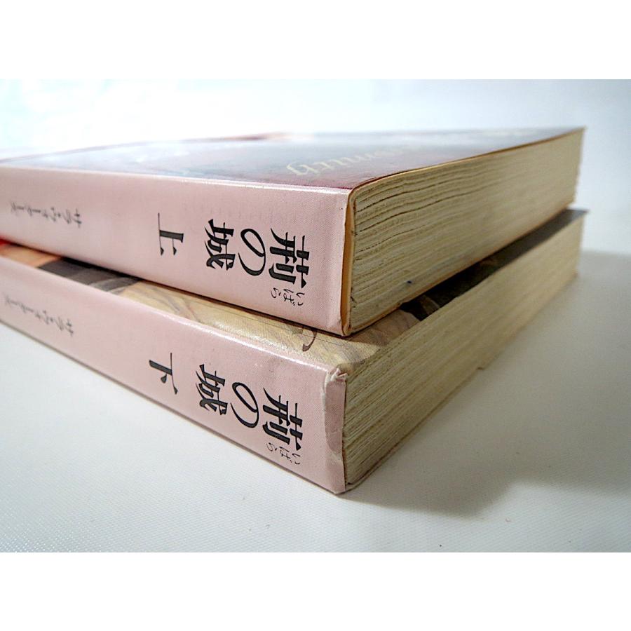 2冊セット サラ ウォーターズ 荊の城 上 下 創元推理文庫 上下巻まとめて 帯つき 茨の城 Cwaヒストリカル ダガー賞 19世紀英国 0805 037 Hitode Books ヤフー店 通販 Yahoo ショッピング