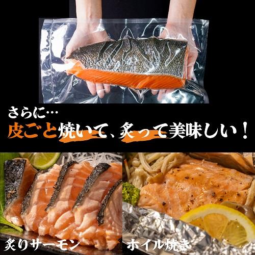 サーモン どどーーんと1キロ！ ノルウェーサーモン 真空 冷凍 サーモン 皮