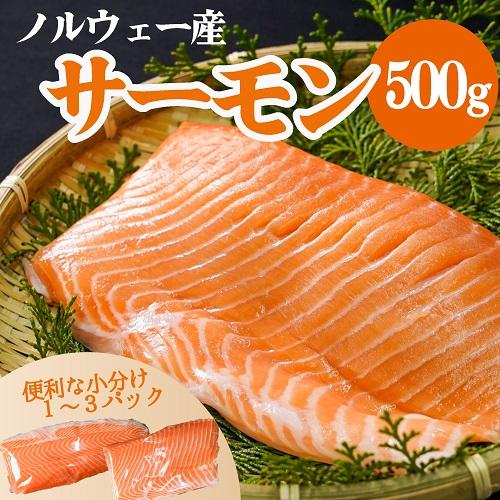 ノルウェーサーモン 500g 真空 冷凍 サーモン 皮つき 小分け パック