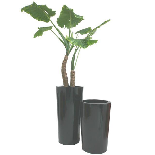 ラウンドハイ1-900