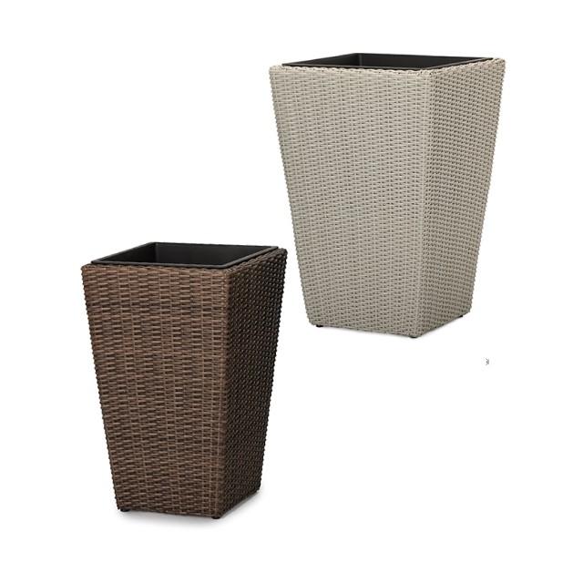 フィカス・ウンベラータ 8号 ウィッカーポット スクエアロング (OTタイプ) L 57 