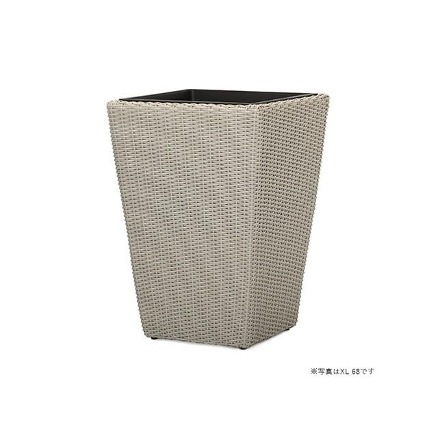 フィカス・ウンベラータ 8号 ウィッカーポット スクエアロング (OTタイプ) L 57 