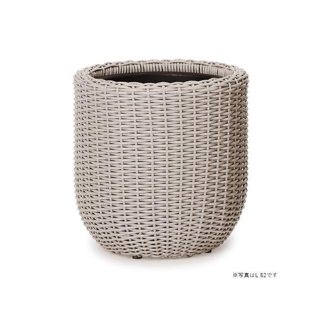 フィカス・ウンベラータ 8号 ウィッカーポット エッグ (NTタイプ) M 41 