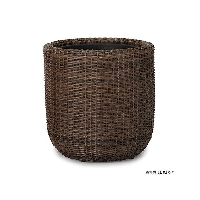 フィカス・ウンベラータ 8号 ウィッカーポット エッグ (NTタイプ) M 41 