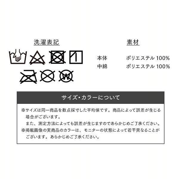 IRIS OHYAMA（アイリスオーヤマ） ベスト ヒーター ヒートベスト 電熱