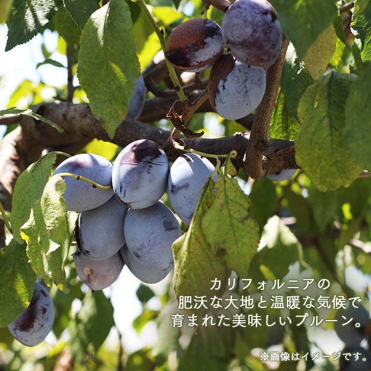 プルーン 800g 無添加 種抜き カリフォルニア産 鉄分 プルーン効果 不揃い 保存料不使用 カリフォルニアプルーン種抜き800g【メール便】 | ブランド登録なし | 01
