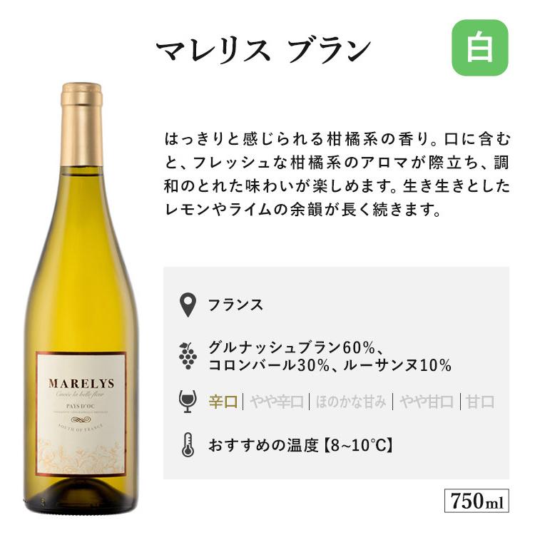 ワイン ワインセット 赤 赤白 白 12本 都内有名ホテル使用 12本ワイン